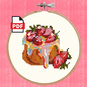 Strawberry Shortcake Needlepoint and Cross Stitch PDF Pattern/ Instant Download/ PDF