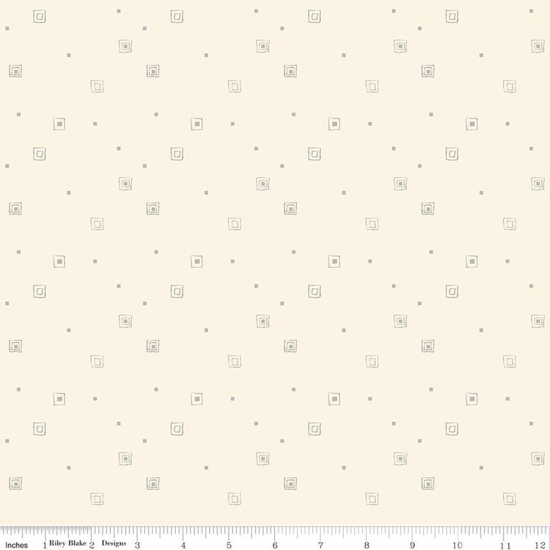 Hush Hush 5 - All Boxed in - Riley Blake Designs, Low Volume Quilt ...