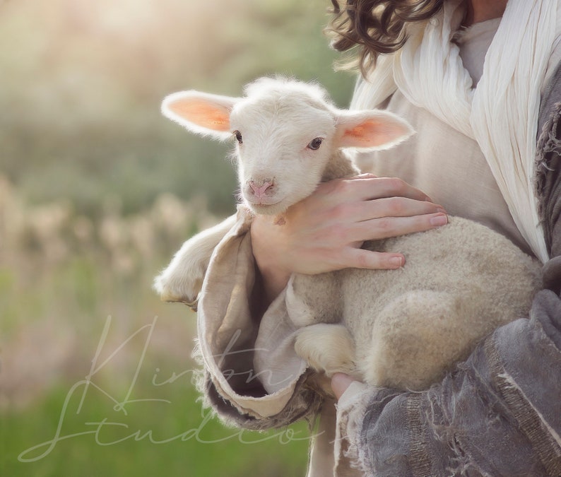 Jesus Christ Holding Lamb Religious Painting Christian Art | Etsy