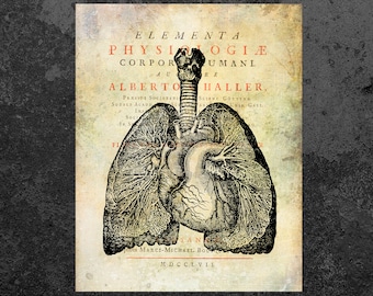 LUNGS PRINT Anatomy Vintage Art Anatomical Drawing Aged Anatomy Poster Scientific Illustration Medical Wall Decor Doctor Gift Clinic Decor