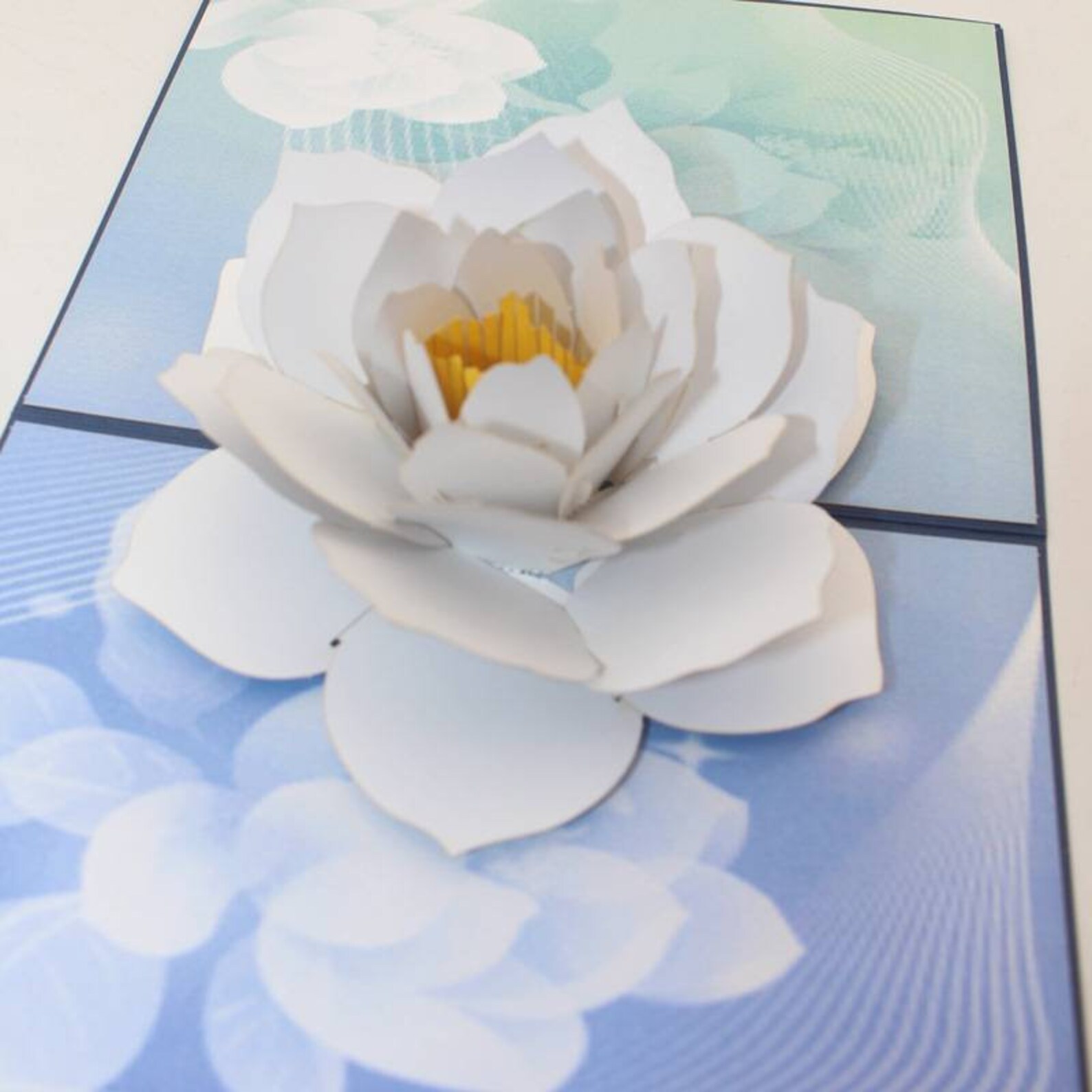 Water Lily Flower Birthday Card 3D Pop up Card Special Etsy UK
