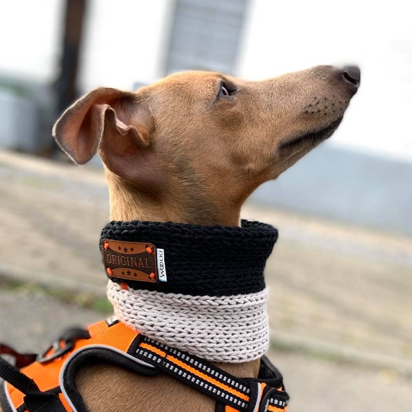 Snood pour chien. Echarpe pour la promenade ! Galgo, Whippet, lévrier italien ou sur mesure.