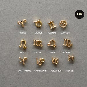 REAL 14K Solid Gold Zodiac Sign Stud Earring Mini Birth Piercing, Helix Tragus Conch Snug Ear Post 18G, Birthday Gift Birthstone Jewelry