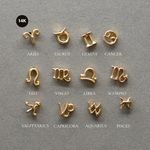REAL 14K Solid Gold Zodiac Sign Stud Earring Mini Birth Piercing, Helix Tragus Conch Snug Ear Post 18G, Birthday Gift Birthstone Jewelry