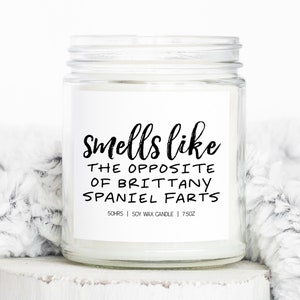 Brittany Spaniel Mom Mothers Day Gifts, Funny Candle, Housewarming, Soy Wax, Scented, Decor