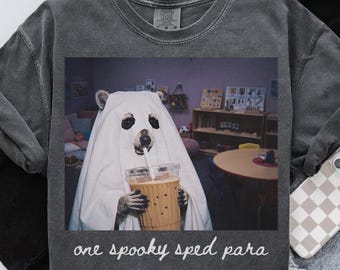 Comfort Colors SPED PARA Shirt, Halloween Raccoon Paraprofessional Tee, Special Education T-Shirt, Back to School, SPED Department Gifts