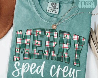 Chemise couleurs confort pour enseignant de Noël SPED, T-shirt pour enseignant, T-shirt pour éducation spécialisée, Rentrée des classes, Cadeaux pour le département SPED, Équipe, Équipe