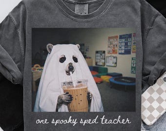 Comfort Colors SPED Teacher Shirt, Halloween Raccoon Special Education Tee, Back to School T-Shirt, SPED Department Gifts, Crew, Squad