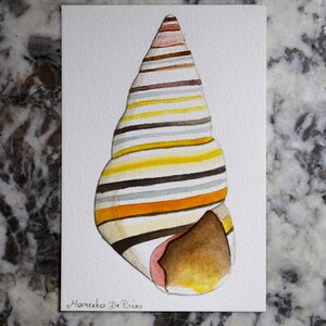 Peinture originale de carte postale colorée coquille aquarelle | 14,7 x 10 cm