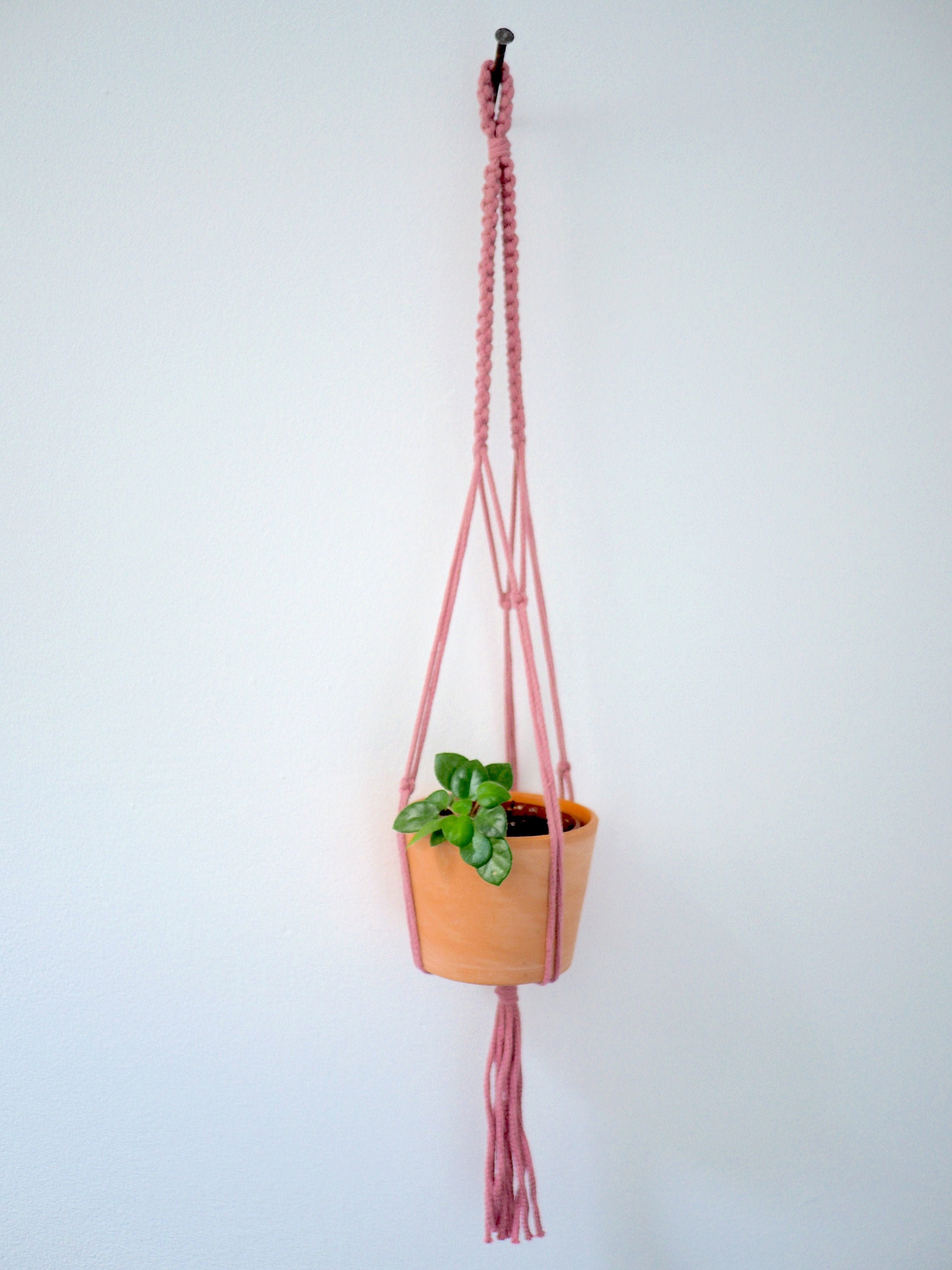 Porte Plante + Pot Terre Cuite