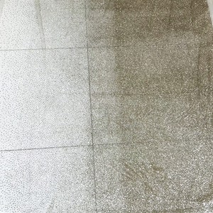 Peut inclure: Un tissu transparent avec un dégradé de paillettes, passant du blanc à l'or.