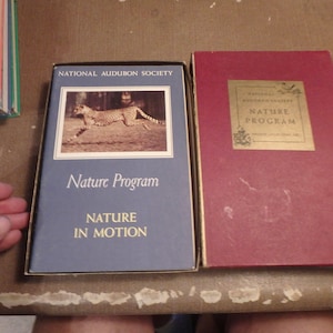 May include: A blue box with a cheetah running on the cover. The box is labeled "National Audubon Society" and "Nature Program". The text "Nature in Motion" is printed below the image. The box is next to a red box with the text "National Audubon Society" and "Nature Program" printed on a gold label.