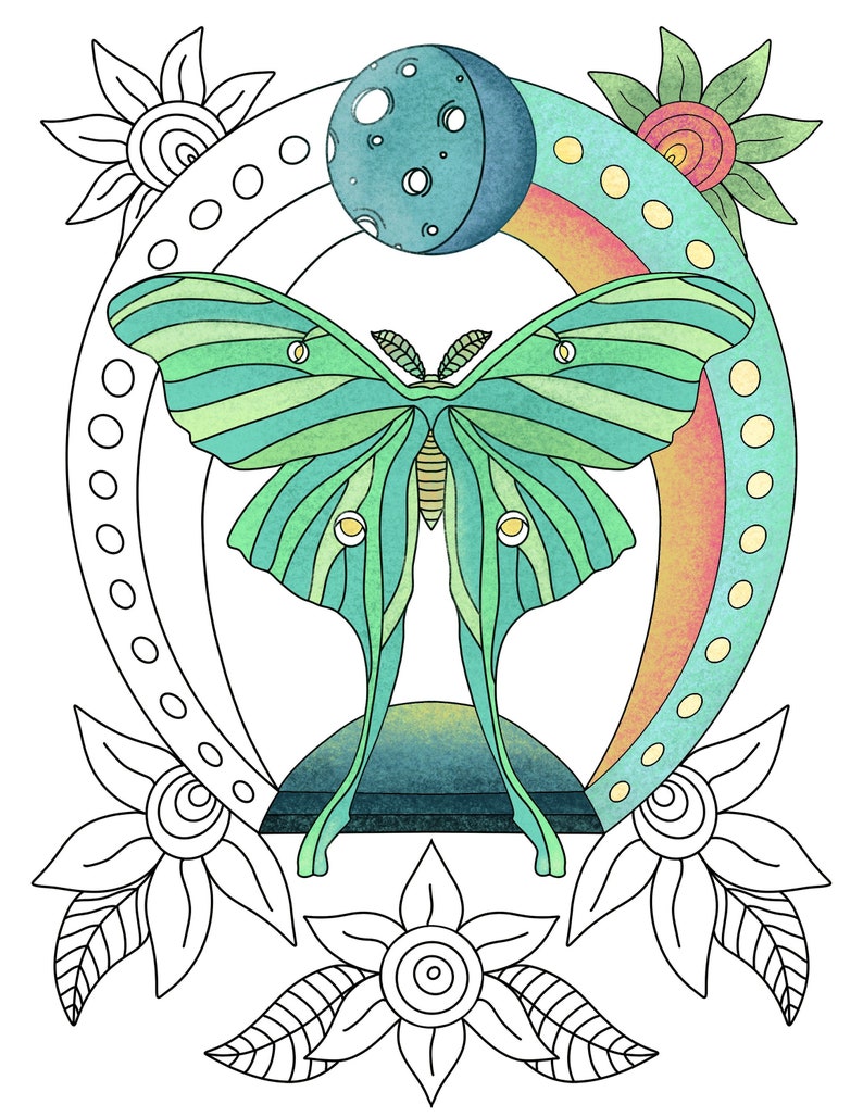 Luna Moth Coloring Page Printable Nature Coloring Page | Etsy