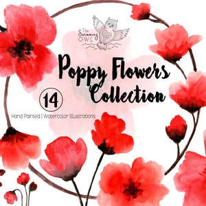 Clipart fleurs de pavot - Clipart fleurs - couronnes de fleurs - Clipart printemps - Clipart fleurs - Clipart coquelicots - aquarelle de coquelicots