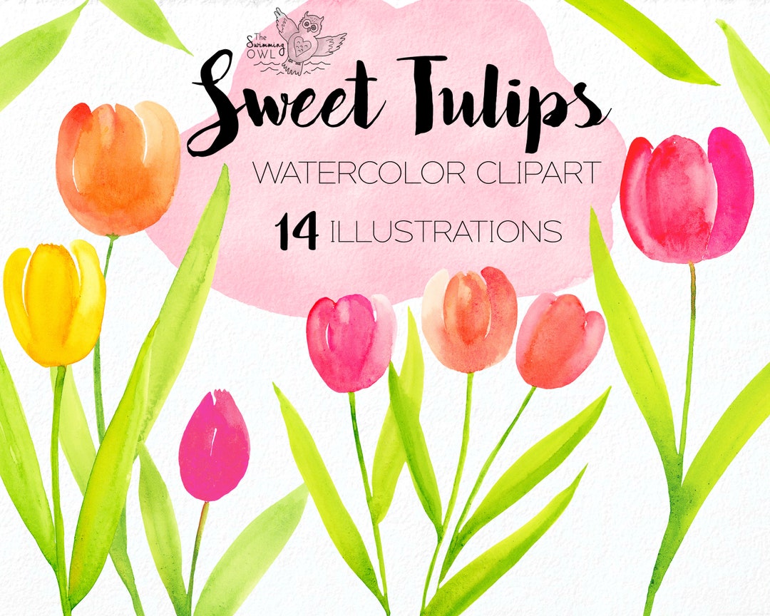 Watercolor Tulips Clipart - Spring Floral Gardening Clipart - Botanical ...