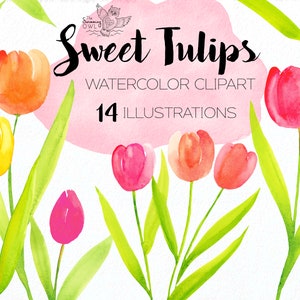 Tulpen Clipart - Aquarell Clipart - Aquarell Blumen Clipart - Aquarell Tulpen - Frühling Clipart - Garten Clipart - Botanische Clipart
