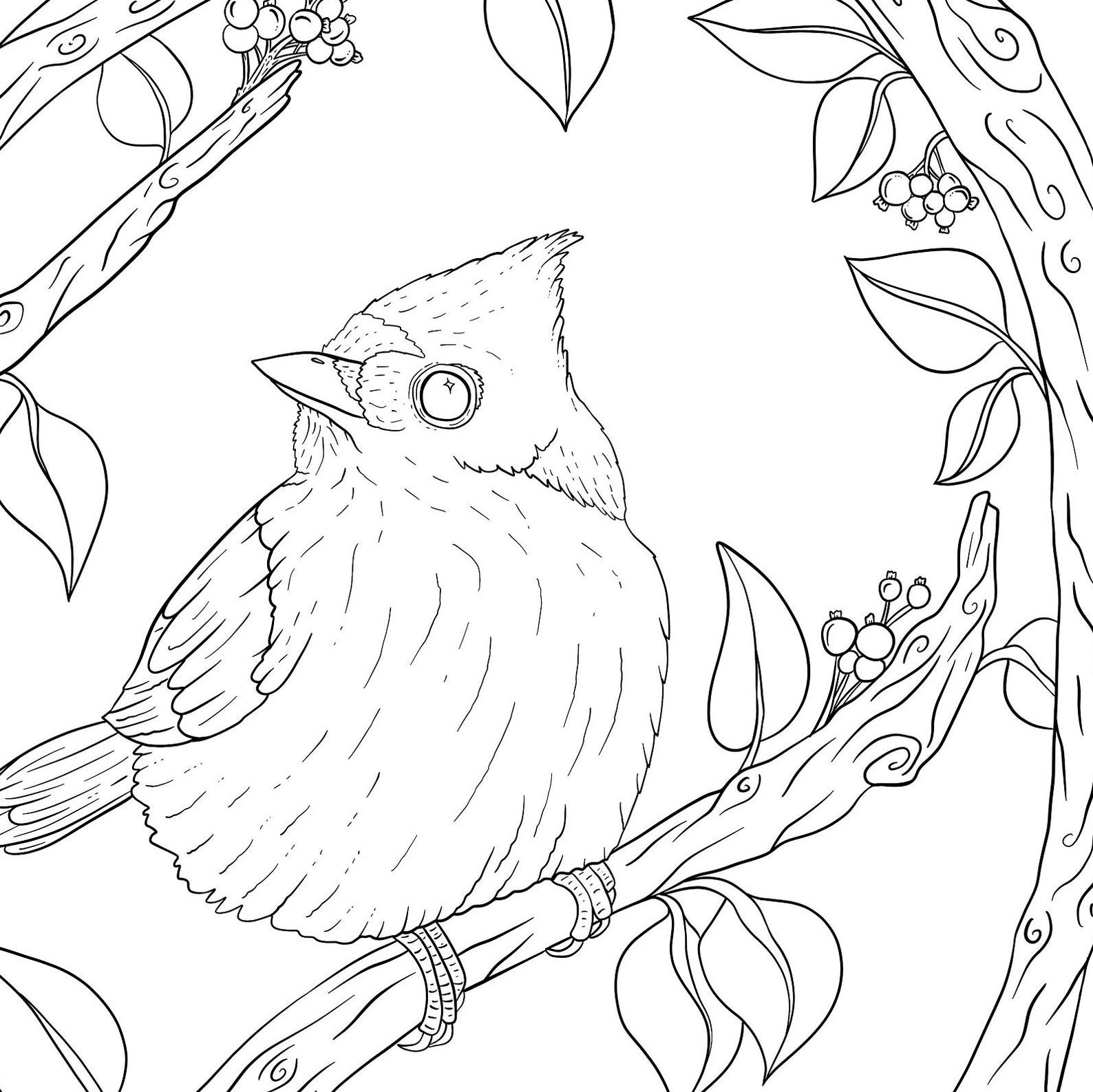 Printable Bird Coloring Page Little Bird Coloring Page - Etsy