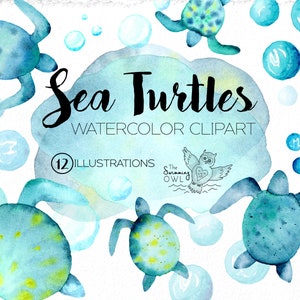 Watercolor Sea Turtle Clipart - Watercolor Clipart - Baby Sea Turtles - Turtle Clip Art - Ocean Clipart - Beach Clipart - Turtle Logo - PNG