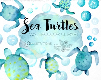 Watercolor Sea Turtle Clipart - Watercolor Clipart - Baby Sea Turtles - Turtle Clip Art - Ocean Clipart - Beach Clipart - Turtle Logo - PNG