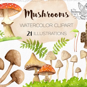 Mushroom Clipart - Watercolor Mushrooms - Forest Clipart - Chef Clipart - Cooking Clip Art - Food Clipart - Mushroom PNG - Woodland Clipart