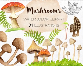 Mushroom Clipart - Watercolor Woodland Mushrooms - Hand Painted Forest Clipart - PNG Files