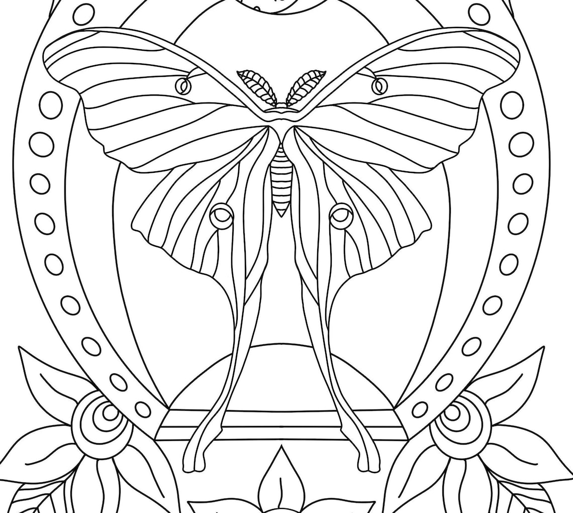 Luna Moth Coloring Page Printable Nature Coloring Page | Etsy