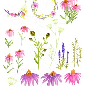 以下が含まれることがあります： 手描き水彩画の草原の花のイラスト21点セット。花はピンク、パープル、イエロー、グリーンの色合いです。イラストはデジタルデザインや印刷デザインの作成に最適です。