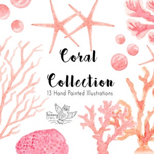 Koralle Aquarell Clipart - Strand Clipart - Unterwasser Clipart - Hochzeitseinladung - Koralle Clipart - Meereskoralle - Ozean Clipart - Nautik
