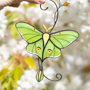 Luna moth stained glass window hangings Christmas gifts Custom stained glass butterfly suncatcher Mothers day gif