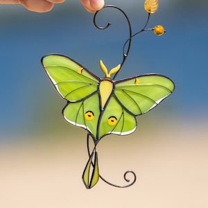 Atrapasol de mariposa con vitrales de polilla Luna, regalos de Navidad, tapices de vitrales personalizados, alas de polilla Luna, regalo de entomología