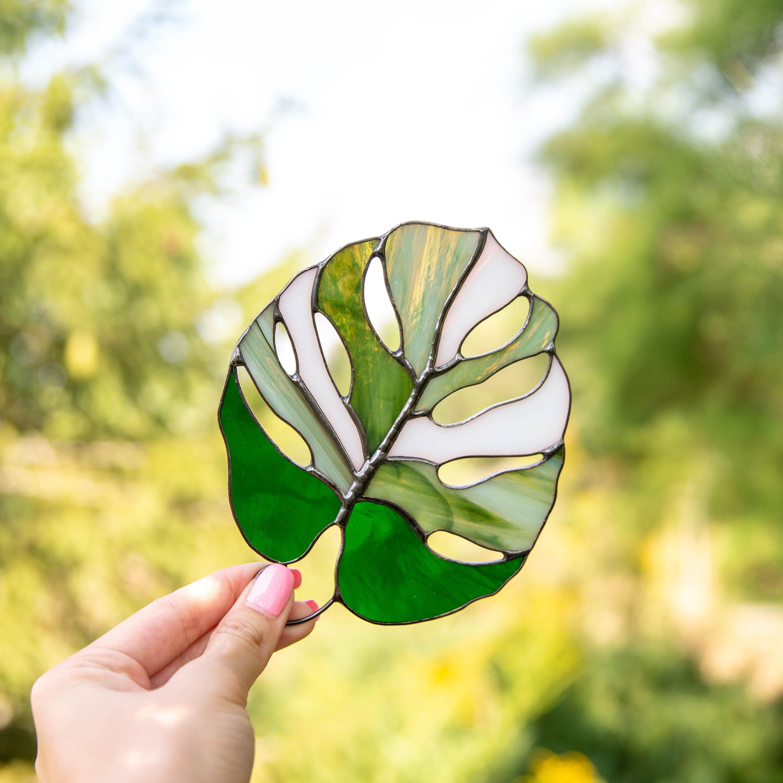 Variegated Monstera Stained Glass Plant St Patricks Day Custom