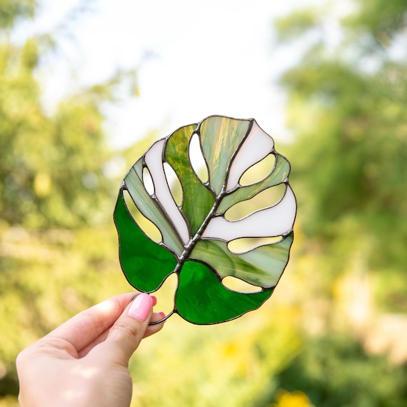 Variegated monstera stained glass window hangings Monstera albo stained glass plant