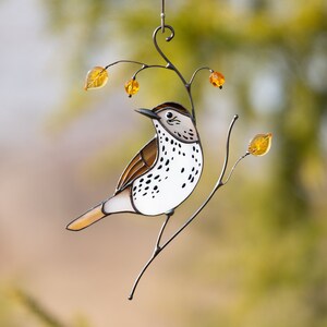 Brown Thrasher sitting on the branch suncatcher of stained glass
