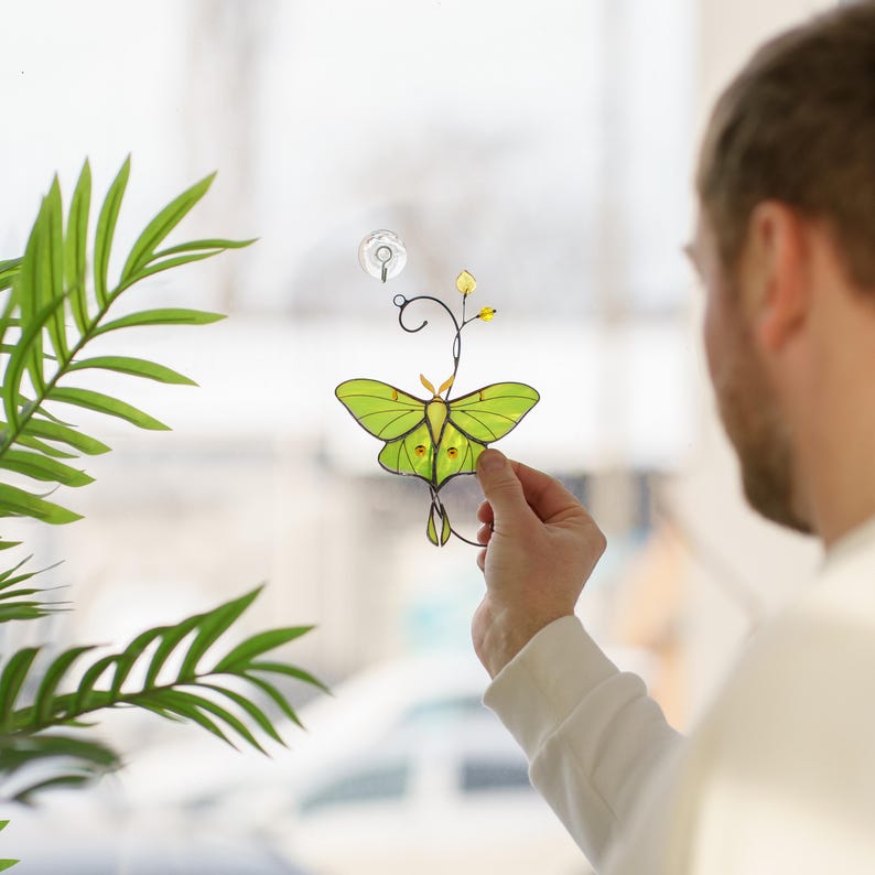 a man holding a handmade Luna Moth stained glass suncatcher. The image demonstrate the size of the piece relative to a hand and how it looks when held against a window and a neutral wall.