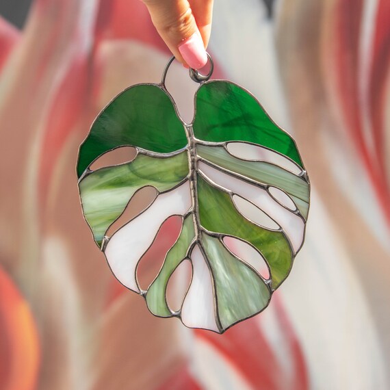 Variegated Monstera Stained Glass Plant St Patricks Day Custom