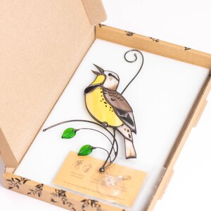 Western meadowlark bird light catcher in the box