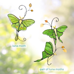 variation of luna moths made of stained glass