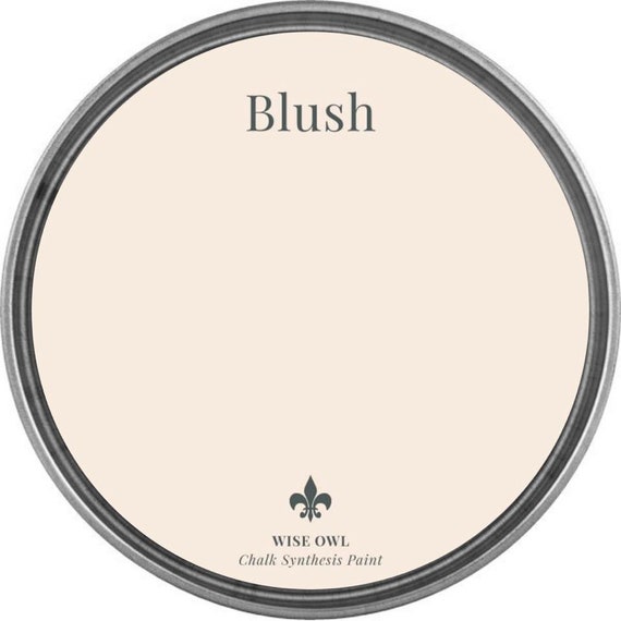 Blush Wise Owl Chalk Synthesis Paint/ Furniture Paint