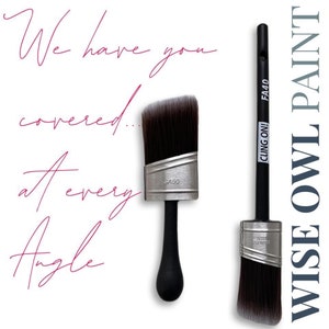 May include: Two paint brushes with black handles and angled bristles. One brush has the text "SA50" and the other has "CLING ON! FA40". The text "We have you covered... At every Angle" is written in cursive. The words "WISE OWL PAINT" are written vertically.