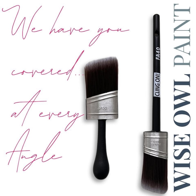 May include: Two paint brushes with black handles and angled bristles. One brush has the text "SA50" and the other has "CLING ON! FA40". The text "We have you covered... At every Angle" is written in cursive. The words "WISE OWL PAINT" are written vertically.