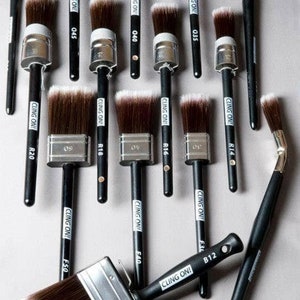 May include: An assortment of paint brushes with dark brown bristles and black handles. The brushes vary in size and shape, with some having rounded heads and others rectangular. The text "CLING ON!" is printed on the handles.
