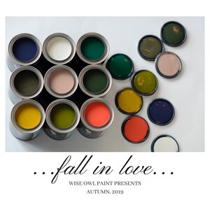 May include: A collection of paint samples in various shades of green, blue, yellow, orange, and pink. The paint samples are arranged in a grid pattern on a white surface. The text "...fall in love... WISE OWL PAINT PRESENTS AUTUMN, 2019" is displayed below the paint samples.