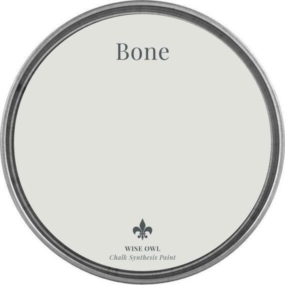 Bone Wise Owl Chalk Synthesis Paint/ Furniture Paint