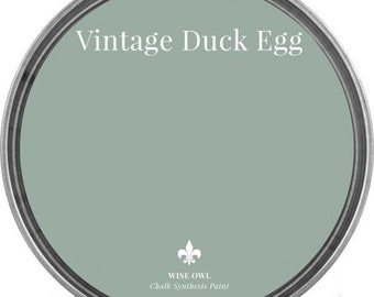 Vintage Duck Egg Wise Owl Chalk Synthesis Paint/ Furniture Paint