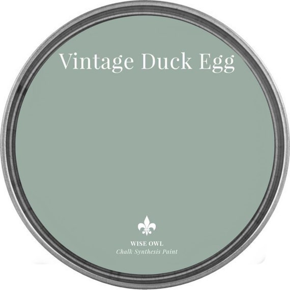 Vintage Duck Egg Wise Owl Chalk Synthesis Paint/ Furniture Paint