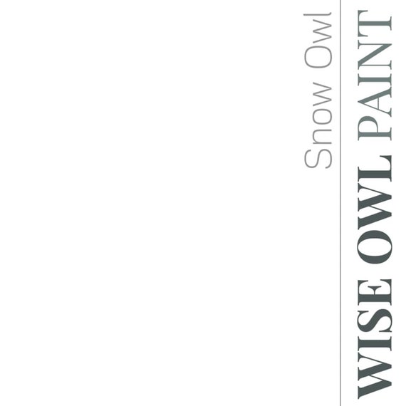 Snow Owl /One Hour Enamel Paint/ Wise Owl Paint/ Cabinet Paint/ Tough Paint/ Furniture Paint/ Fast Drying/ Built in Top Coat