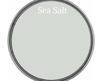 Sea Salt Wise Owl Chalk Synthesis Paint/ Furniture Paint