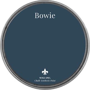 Bowie Wise Owl Chalk Synthesis Paint/ Furniture Paint