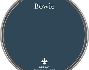 Bowie Wise Owl Chalk Synthesis Paint/ Furniture Paint