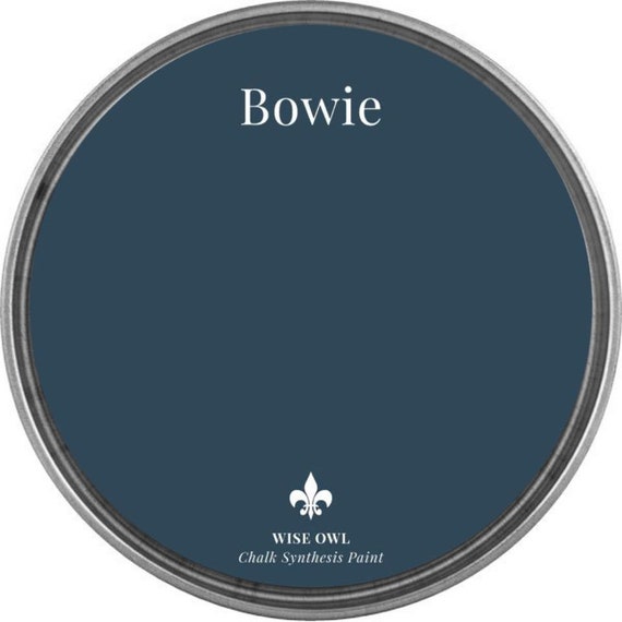 Bowie Wise Owl Chalk Synthesis Paint/ Furniture Paint